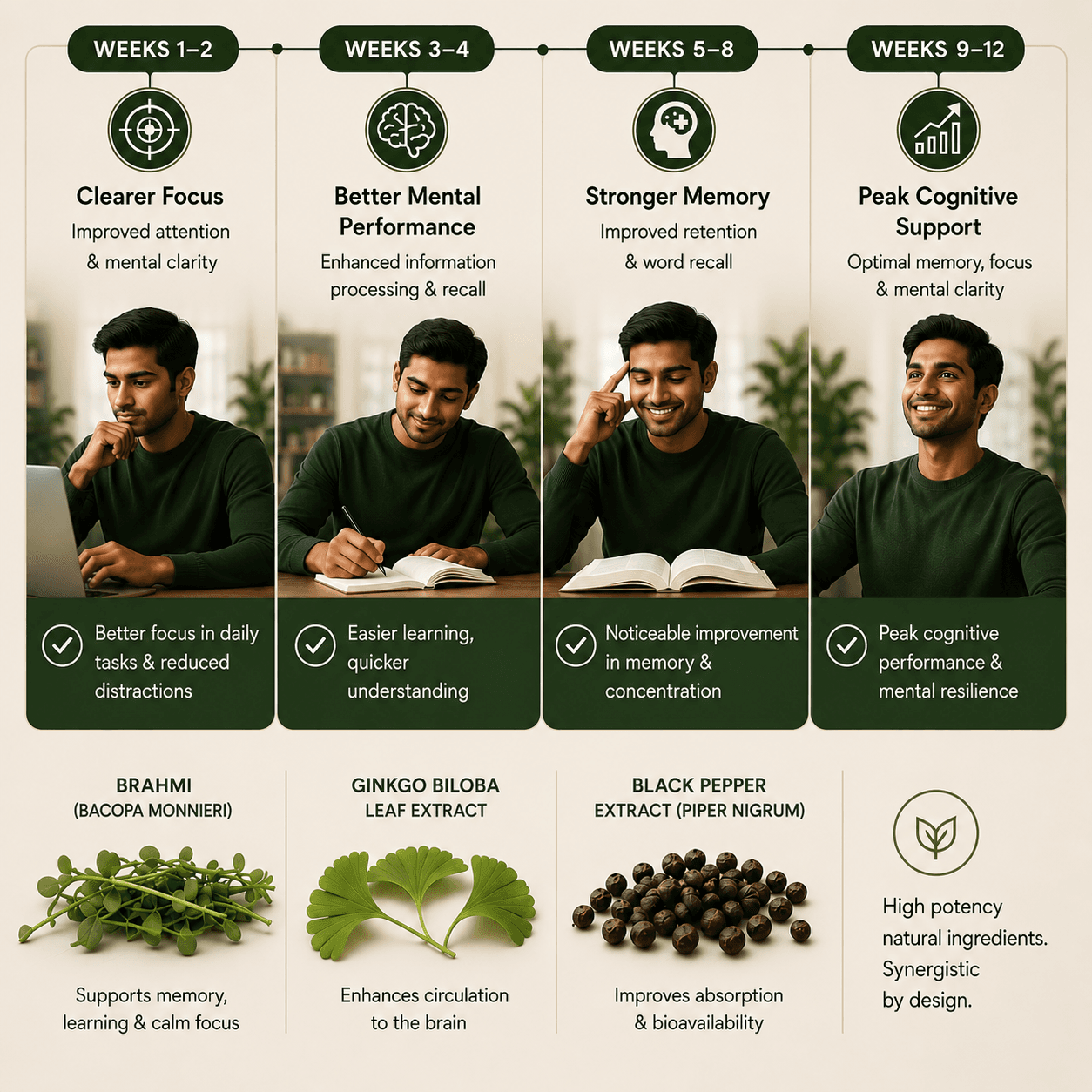 Twelve-week timeline from clearer focus to peak cognitive support, above the three key ingredients