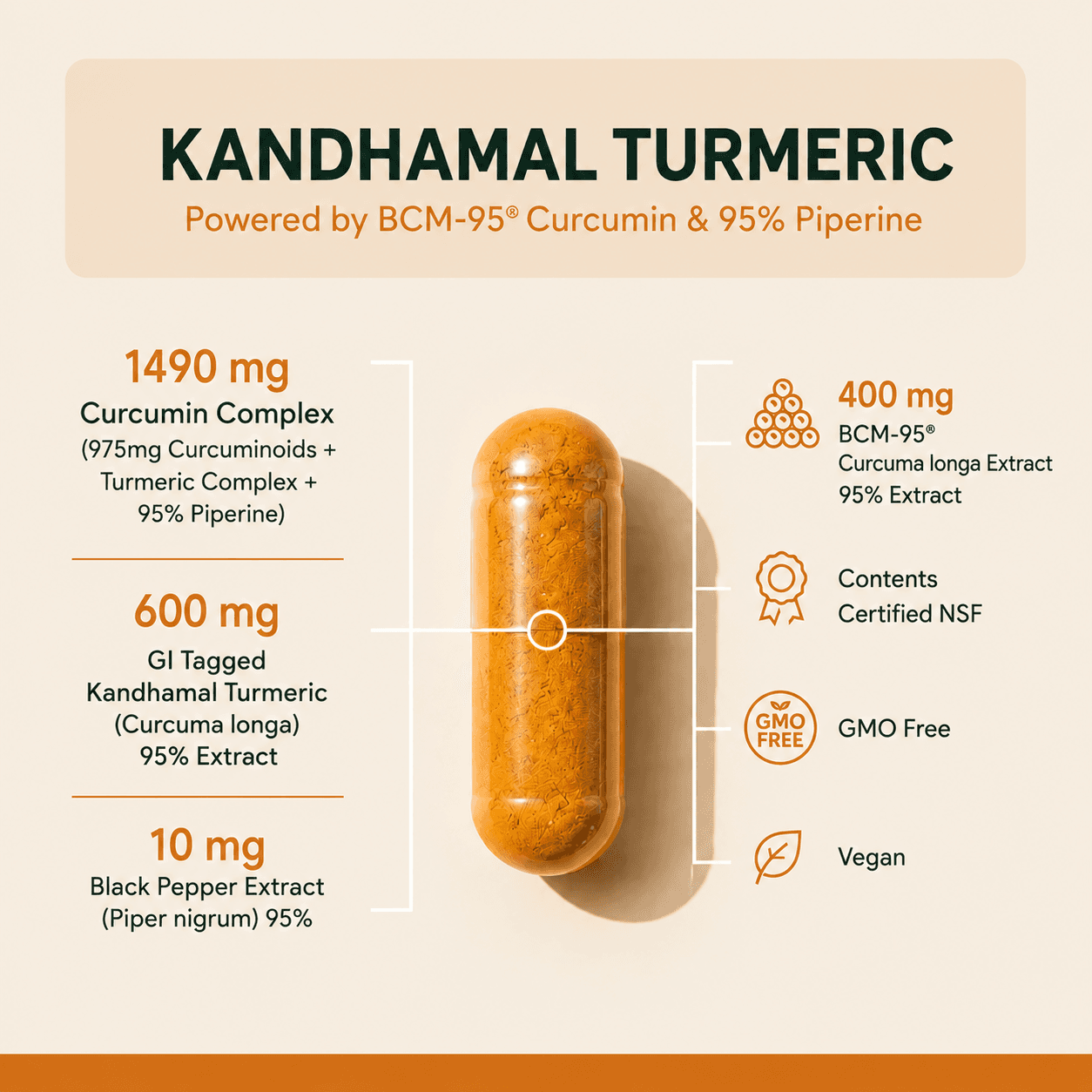 Formula panel: GI-tagged Kandhamal turmeric extract, BCM-95® curcumin and black pepper extract